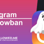 Illustration of Instagram shadowban concept with a ghost icon over the Instagram logo, alongside the Who Unfollowed Me app logo.