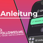 App-Anleitung for Who Unfollowed Me, showing the process of checking Instagram unfollowers using uploaded JSON files.